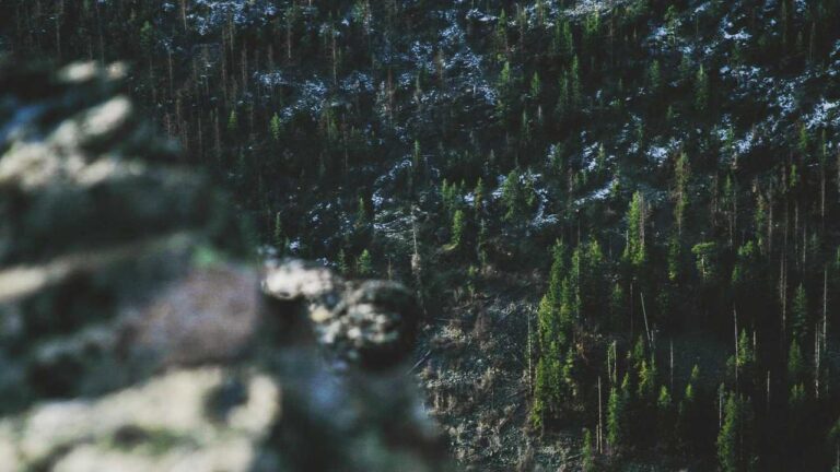 Why Do Users Prefer Manual Installation Of 11Xplay Pro Download Apk For Android?